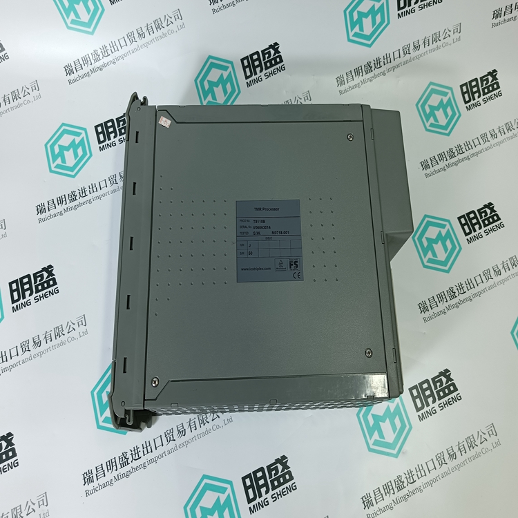 ICS TRIPLEX T8110B(圖5) ICS TRIPLEX T8110B(圖5)