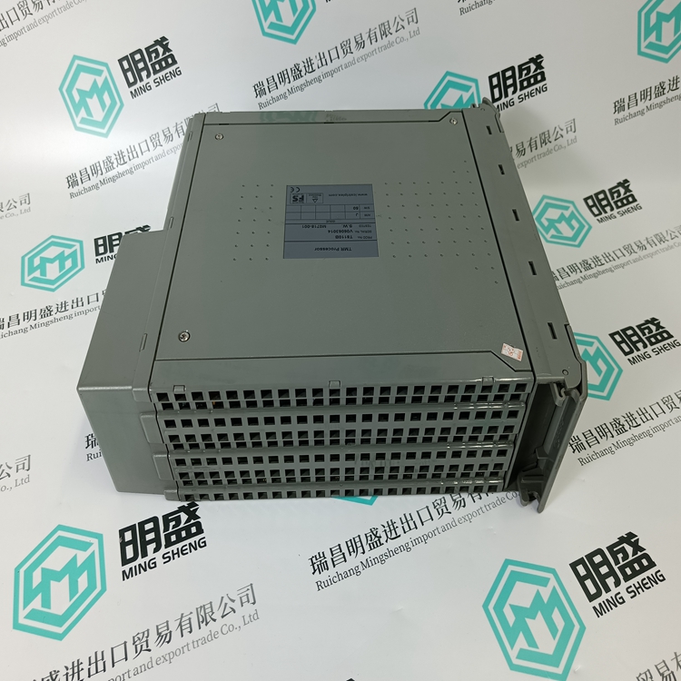 ICS TRIPLEX T8110B(圖3) ICS TRIPLEX T8110B(圖3)