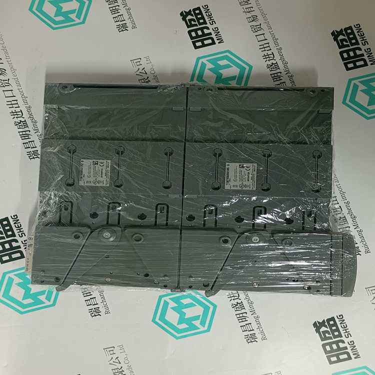 ICS TRIPLEX 9802(圖1) ICS TRIPLEX 9802(圖1)