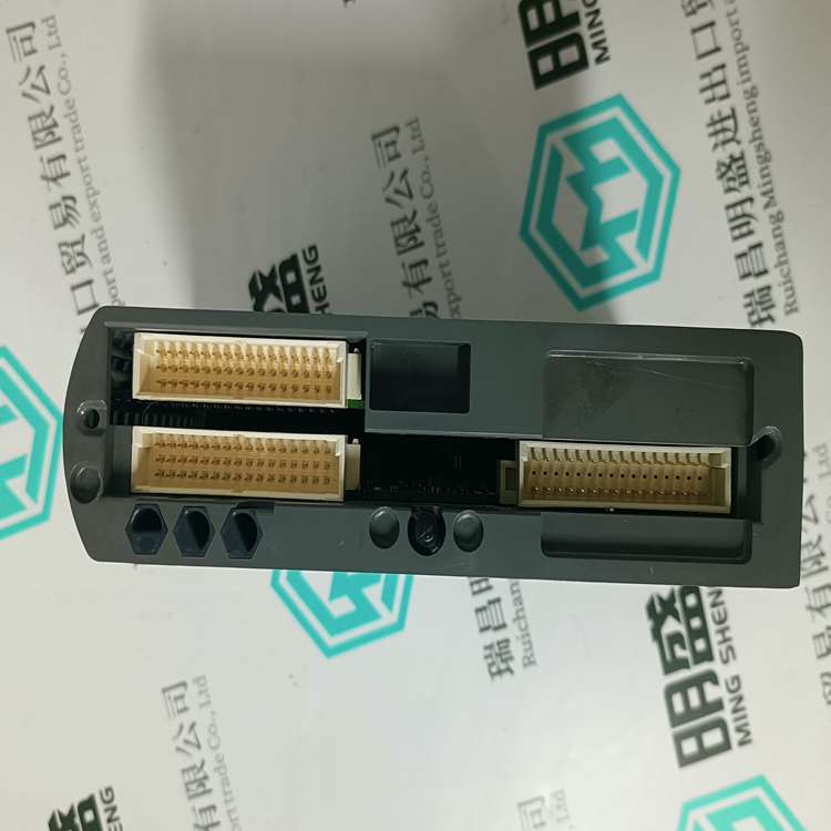 ICS TRIPLEX T9402(圖4) ICS TRIPLEX T9402(圖4)