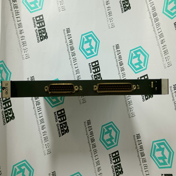 DS200SIOBH1AAA(圖5) DS200SIOBH1AAA(圖5)