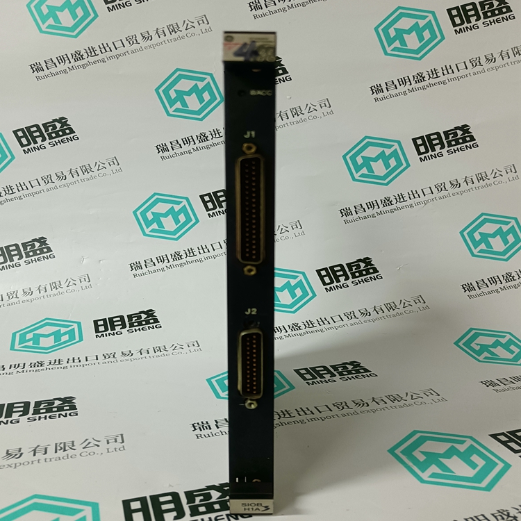 DS200SIOBH1ABA(圖5) DS200SIOBH1ABA(圖5)