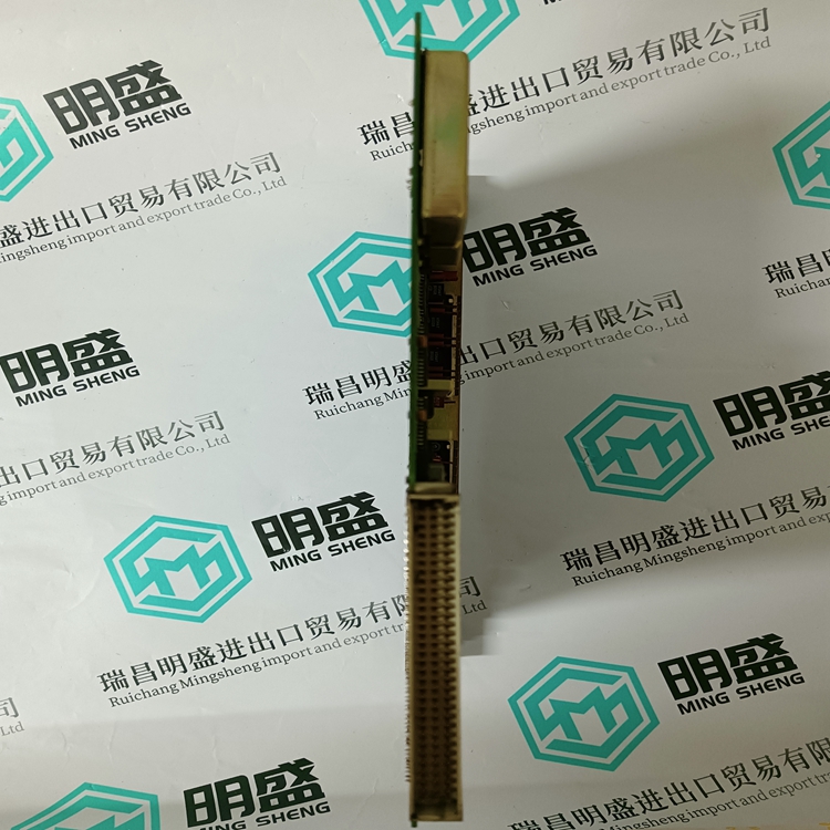 DS200SIOBH1ABA(圖2) DS200SIOBH1ABA(圖2)