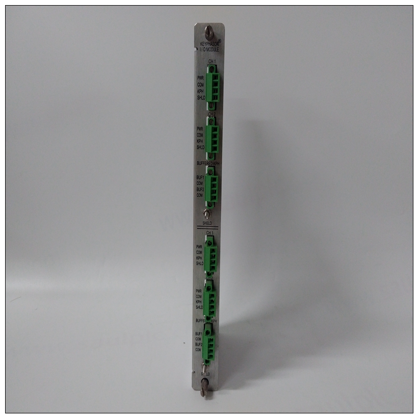 125800-01 350025小卡 -2.jpg