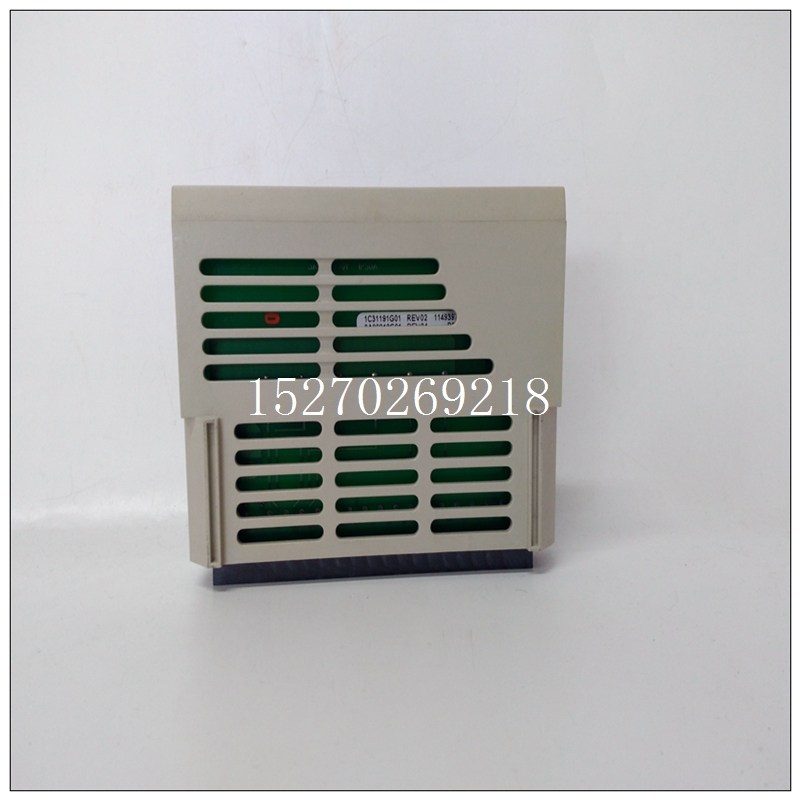 1C31192G01(圖1) 1C31192G01 (3).jpg